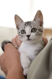 Photo of Man with cute kitten at home, closeup