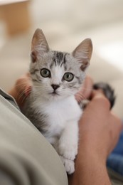 Photo of Man with cute kitten at home, closeup