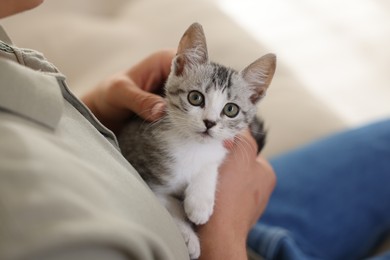 Man with cute kitten at home, closeup