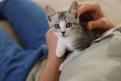 Man with cute kitten at home, closeup