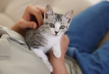 Photo of Man with cute kitten at home, closeup