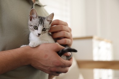 Man with cute kitten at home, closeup