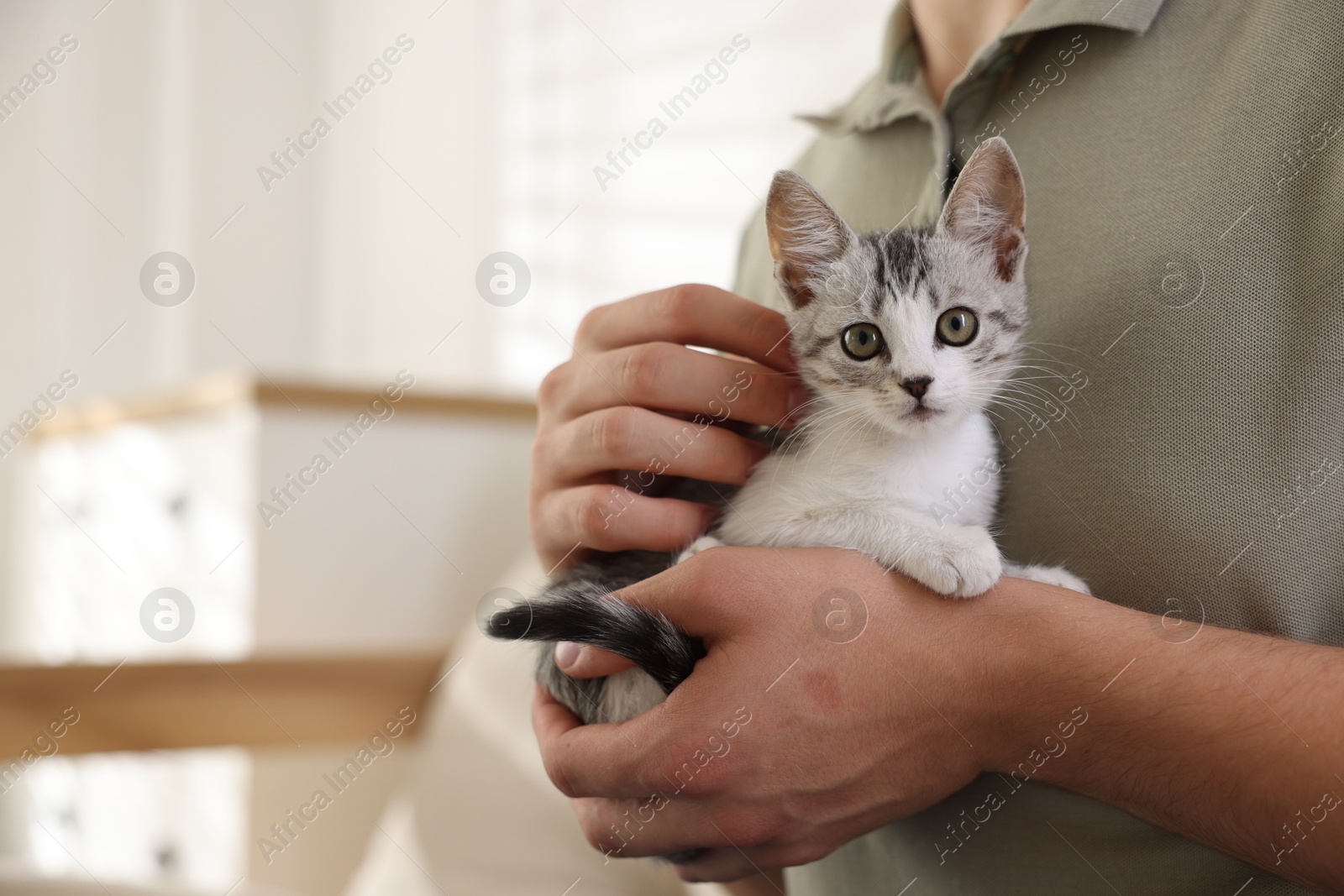 Photo of Man with cute kitten at home, closeup