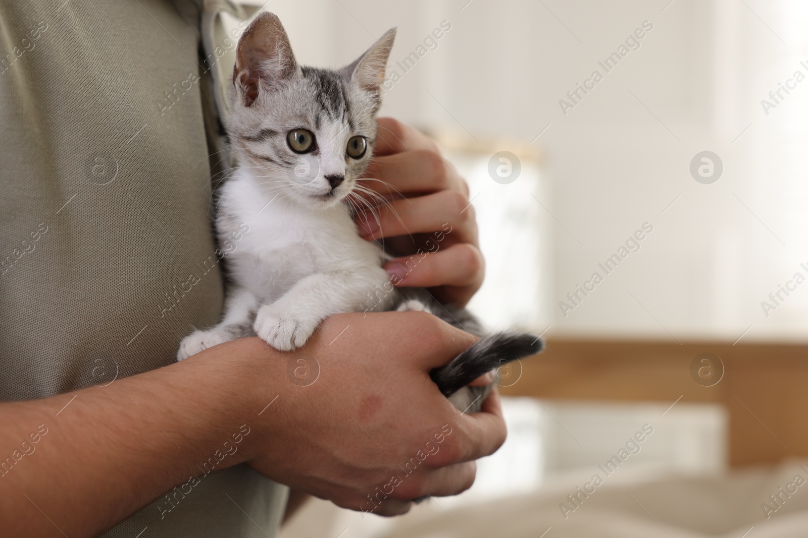 Photo of Man with cute kitten at home, closeup