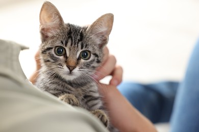 Photo of Man with cute kitten at home, closeup