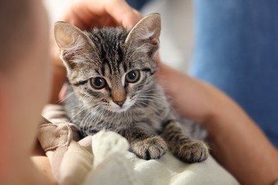 Photo of Man with cute kitten at home, closeup