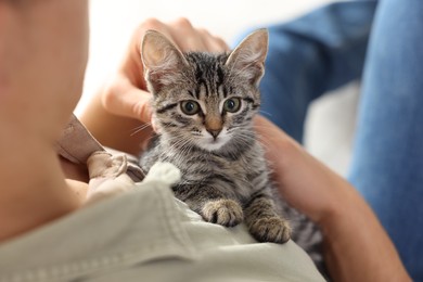 Man with cute kitten at home, closeup