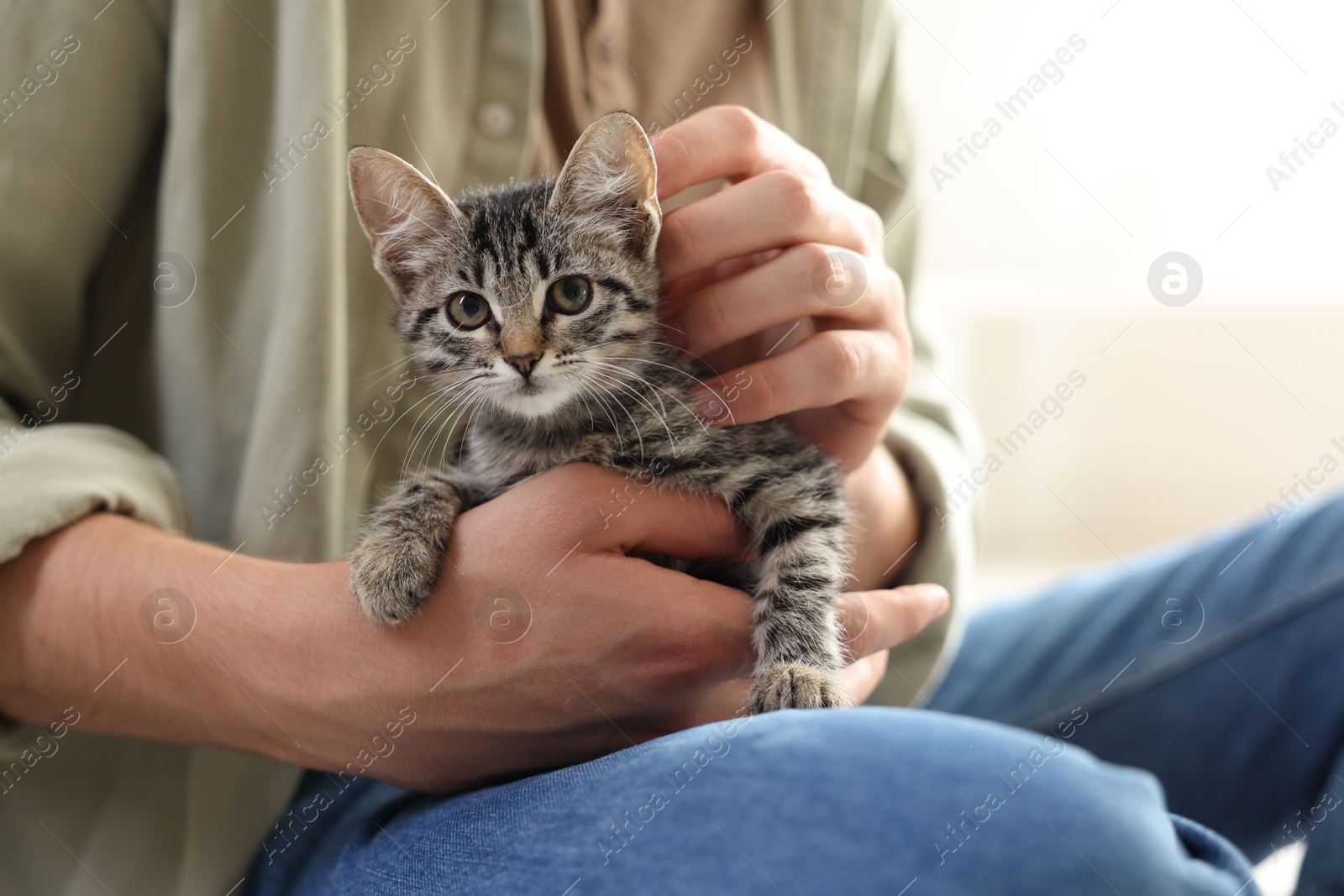 Photo of Man with cute kitten at home, closeup