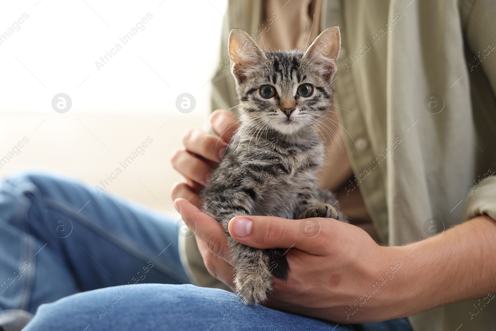 Photo of Man with cute kitten at home, closeup