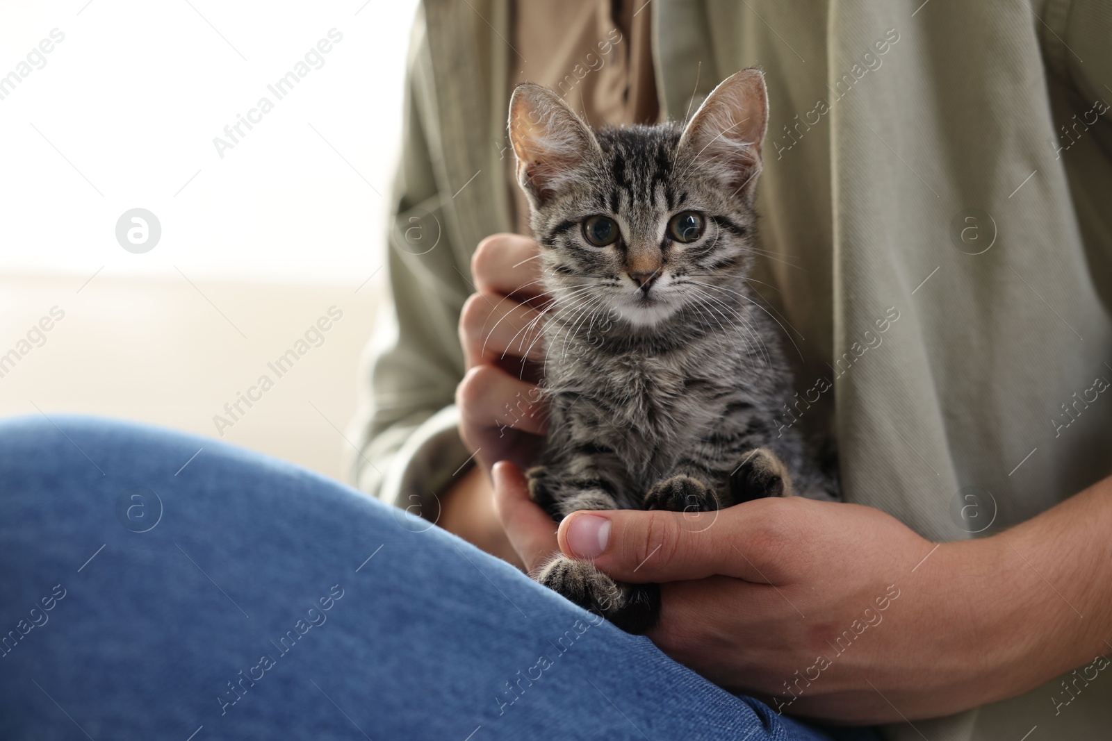 Photo of Man with cute kitten at home, closeup