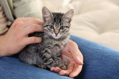 Man with cute kitten at home, closeup