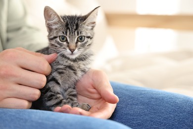 Man with cute kitten at home, closeup