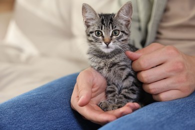 Man with cute kitten at home, closeup