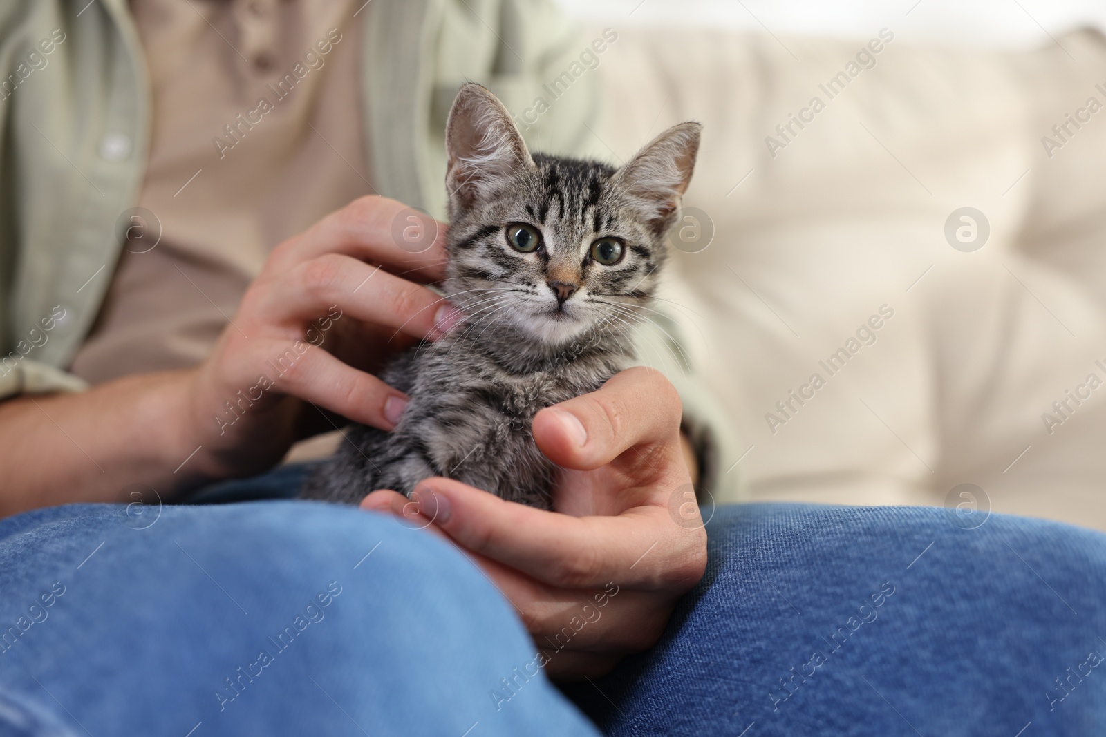 Photo of Man with cute kitten at home, closeup