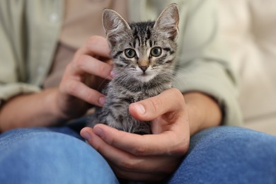 Photo of Man with cute kitten at home, closeup