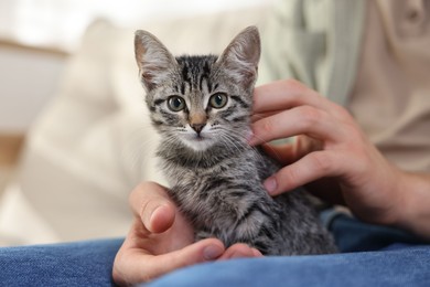 Photo of Man with cute kitten at home, closeup