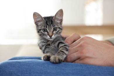 Photo of Man with cute kitten at home, closeup