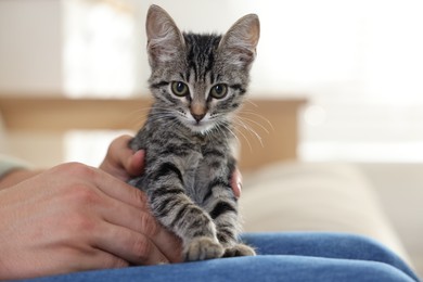 Photo of Man with cute kitten at home, closeup