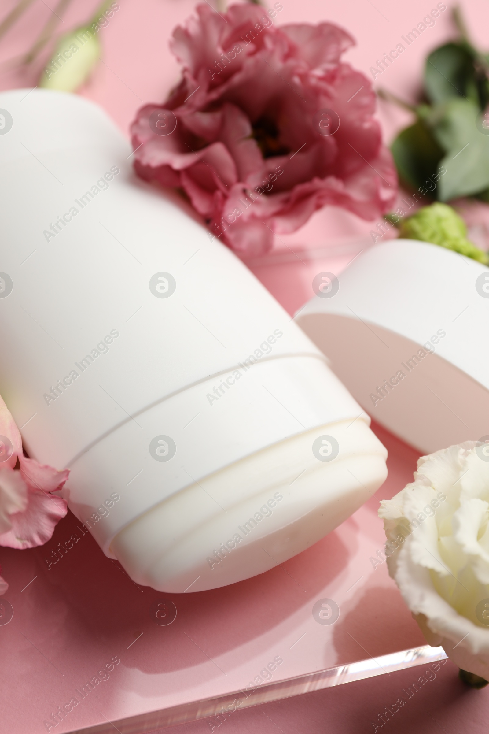 Photo of Solid deodorant and beautiful eustoma flowers on pink background, closeup