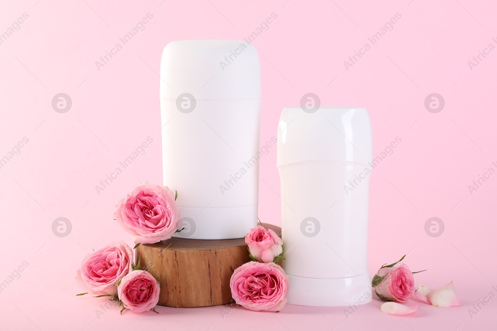 Photo of Solid deodorants and beautiful rose flowers on pink background