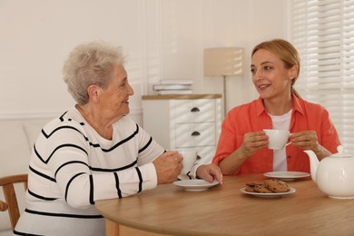 Photo of Caregiver and senior woman enjoying hot drink at table indoors