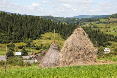 Photo of Piles of hay on green grass on sunny day