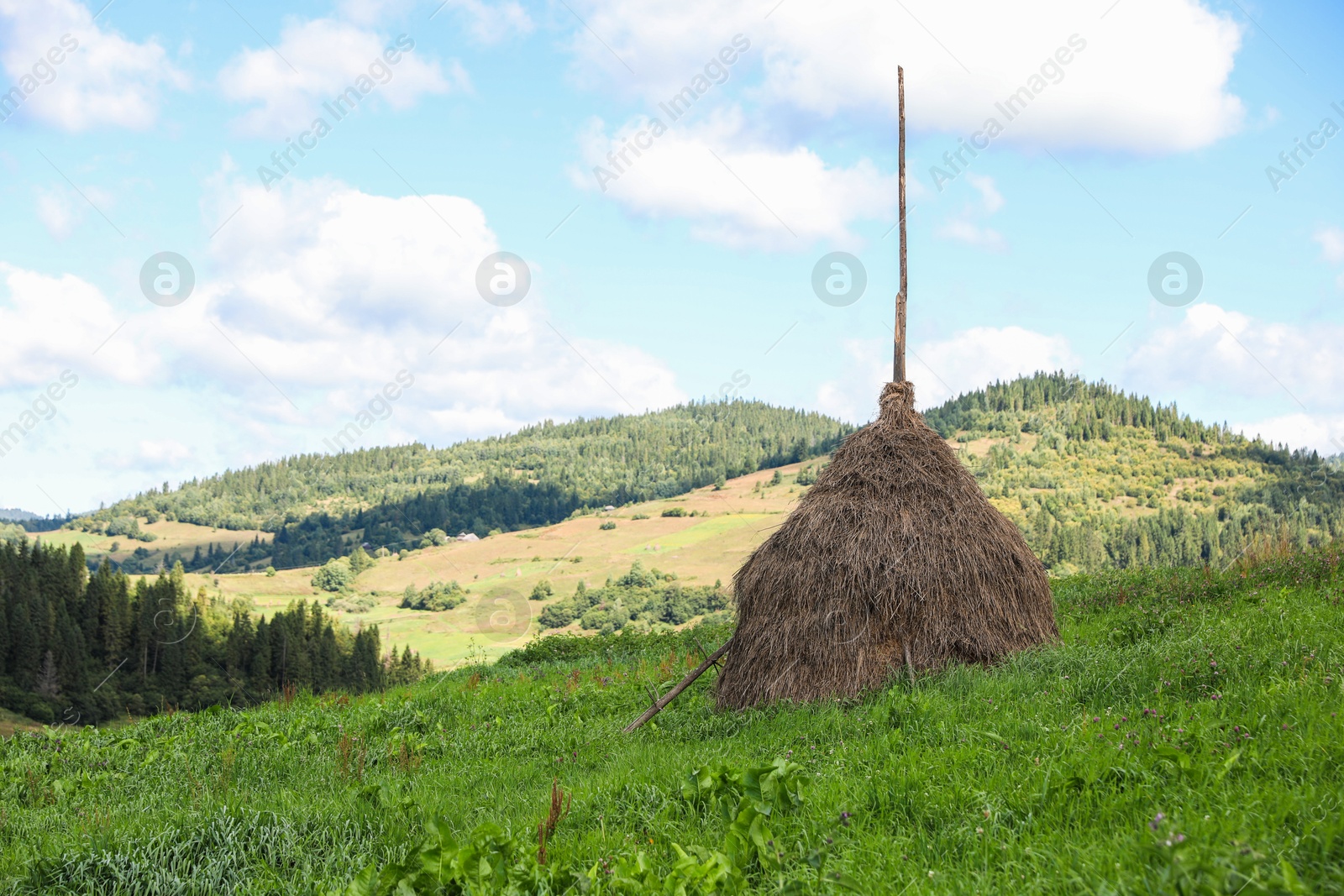 Photo of Pile of hay on field in mountains