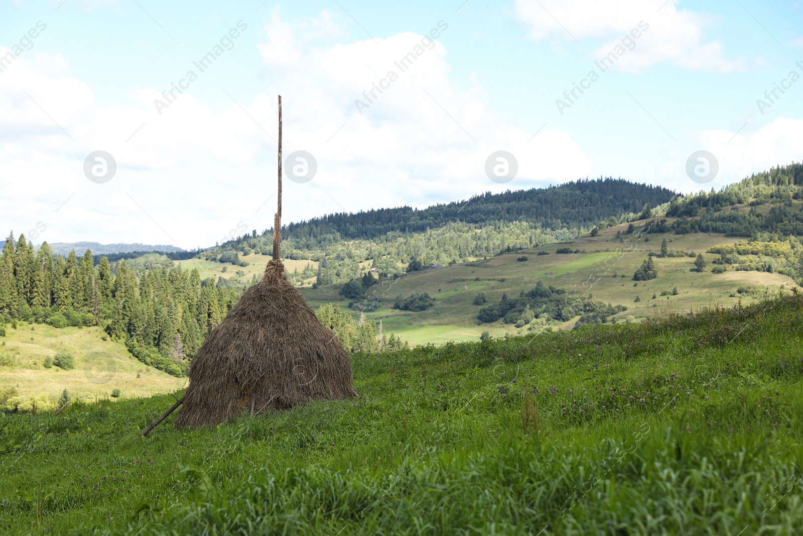 Photo of Pile of hay on field in mountains