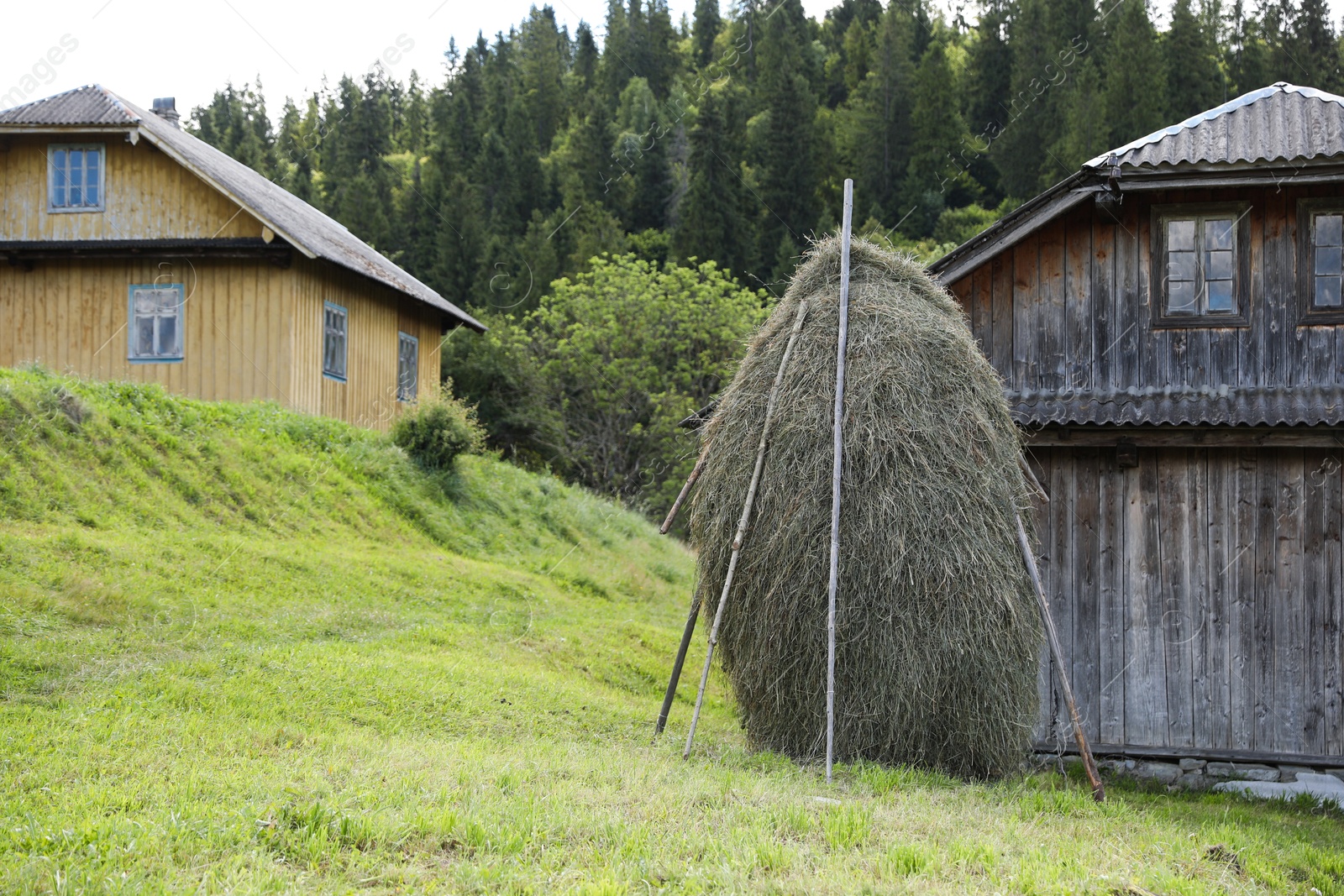 Photo of Pile of hay near barn on farmland