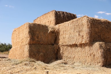 Bales of hay outdoors on sunny day