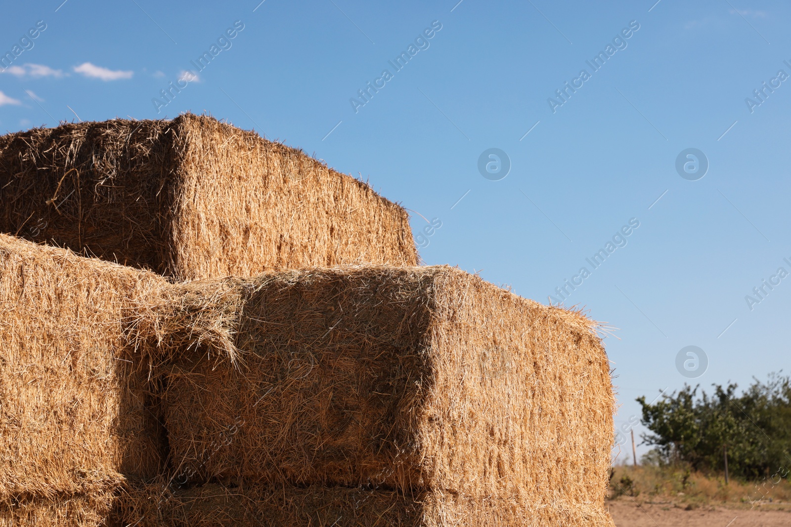 Photo of Bales of hay outdoors on sunny day, closeup