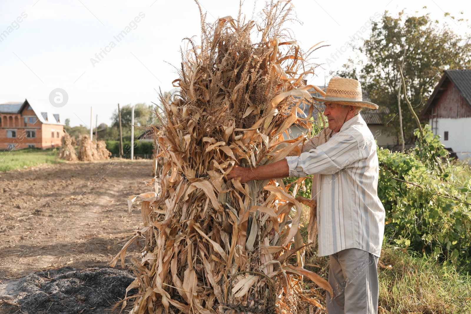 Photo of Senior man in straw hat with pile of hay outdoors