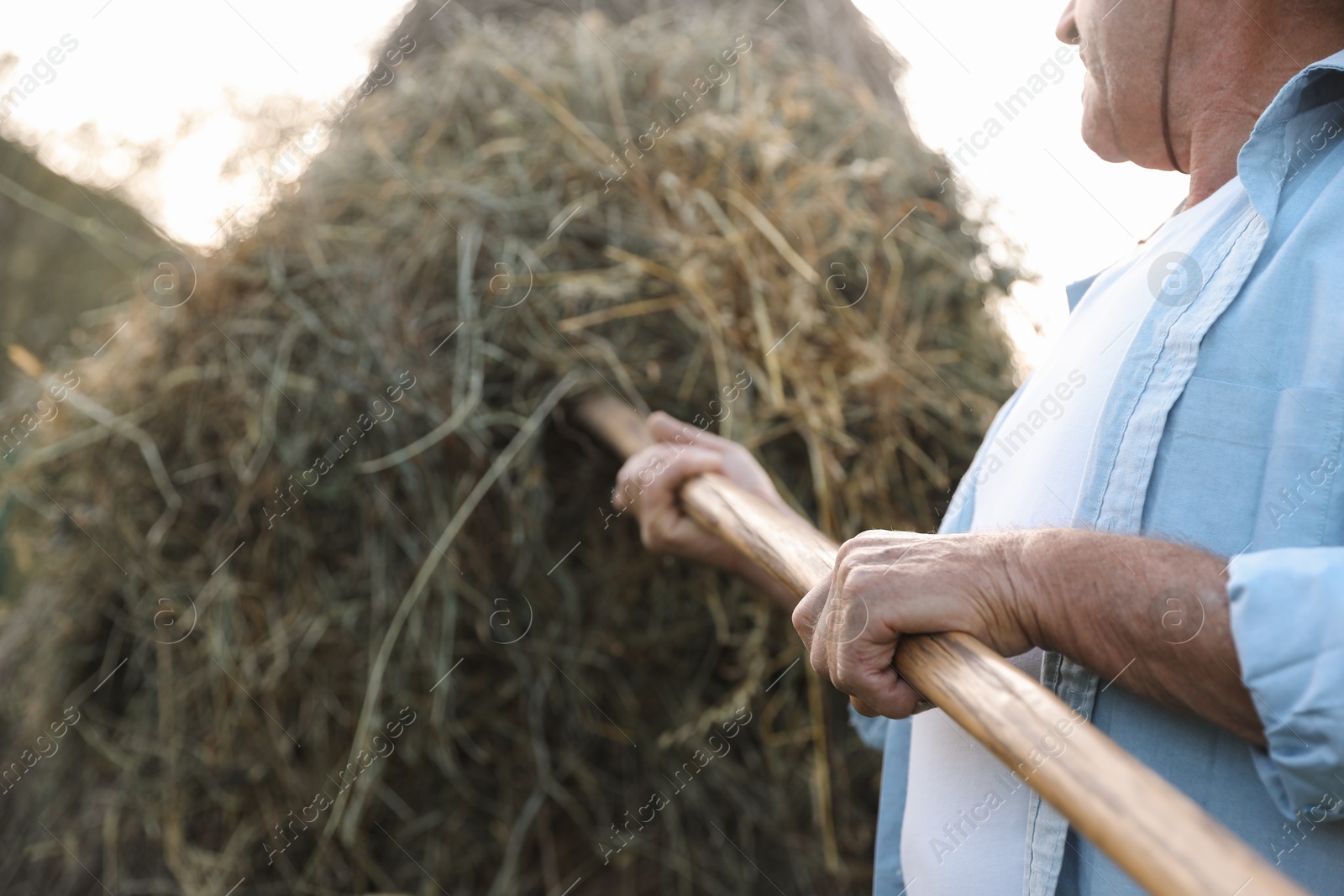 Photo of Senior man pitching hay on farmland, closeup