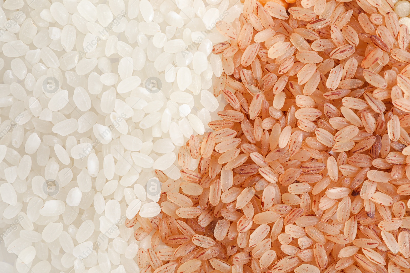 Photo of Different cereal grains as background, top view