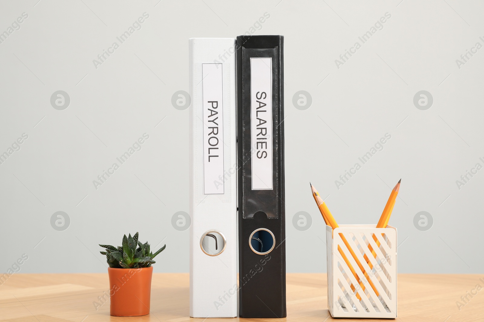 Photo of Folders with words Payroll and Salaries, houseplant and holder with pencils on wooden table