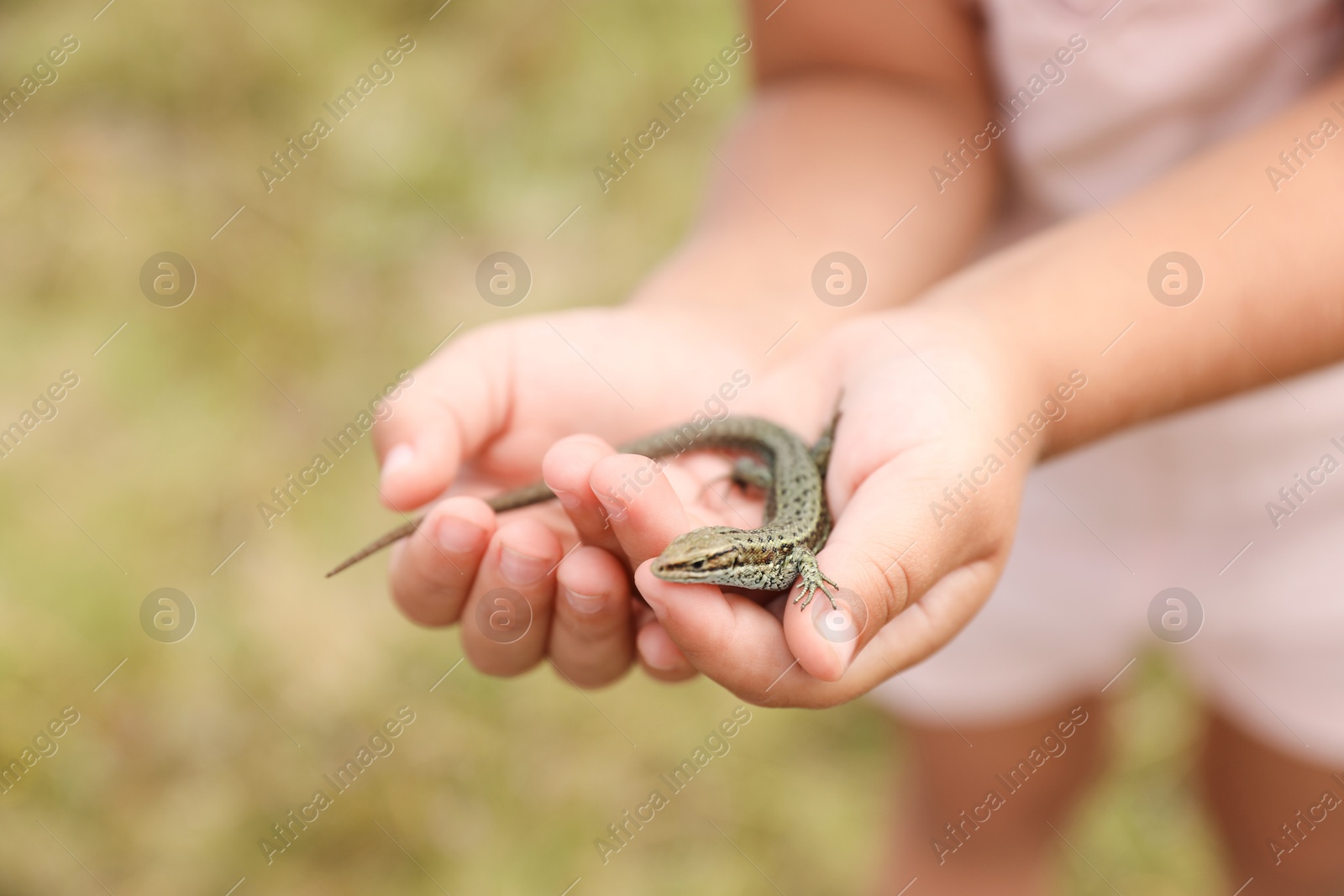 Photo of Little girl holding lizard on blurred background, closeup, space for text. Child enjoying beautiful nature