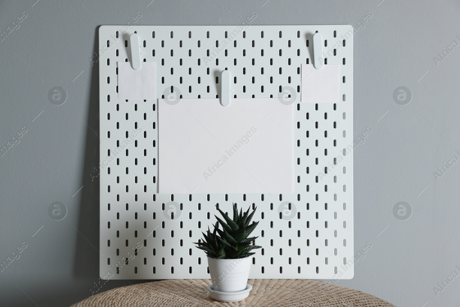 Photo of Peg board with blank paper notes and houseplant on wooden table near gray wall