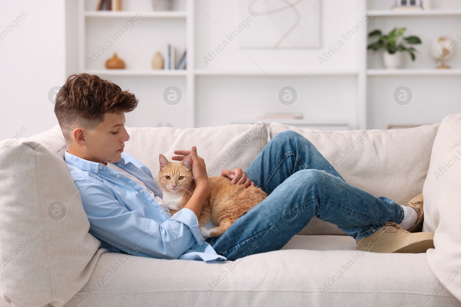 Photo of Loneliness concept. Sad teenage boy with cute cat on sofa at home