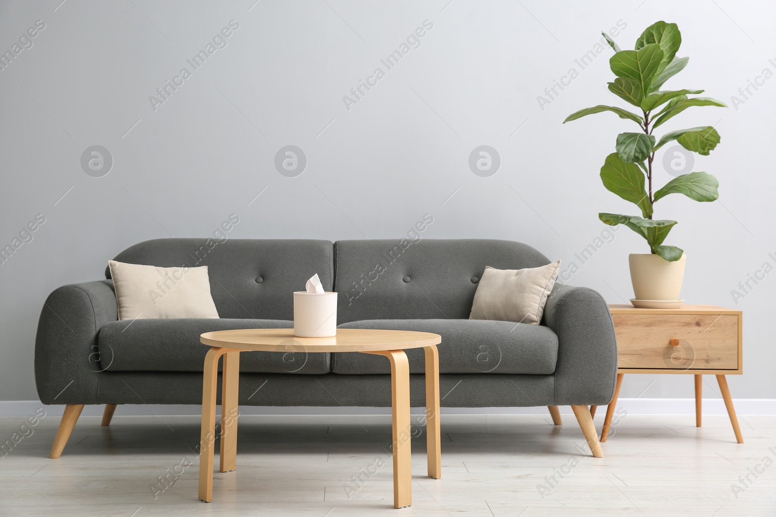 Photo of Comfortable sofa, tables and houseplant near grey wall in room