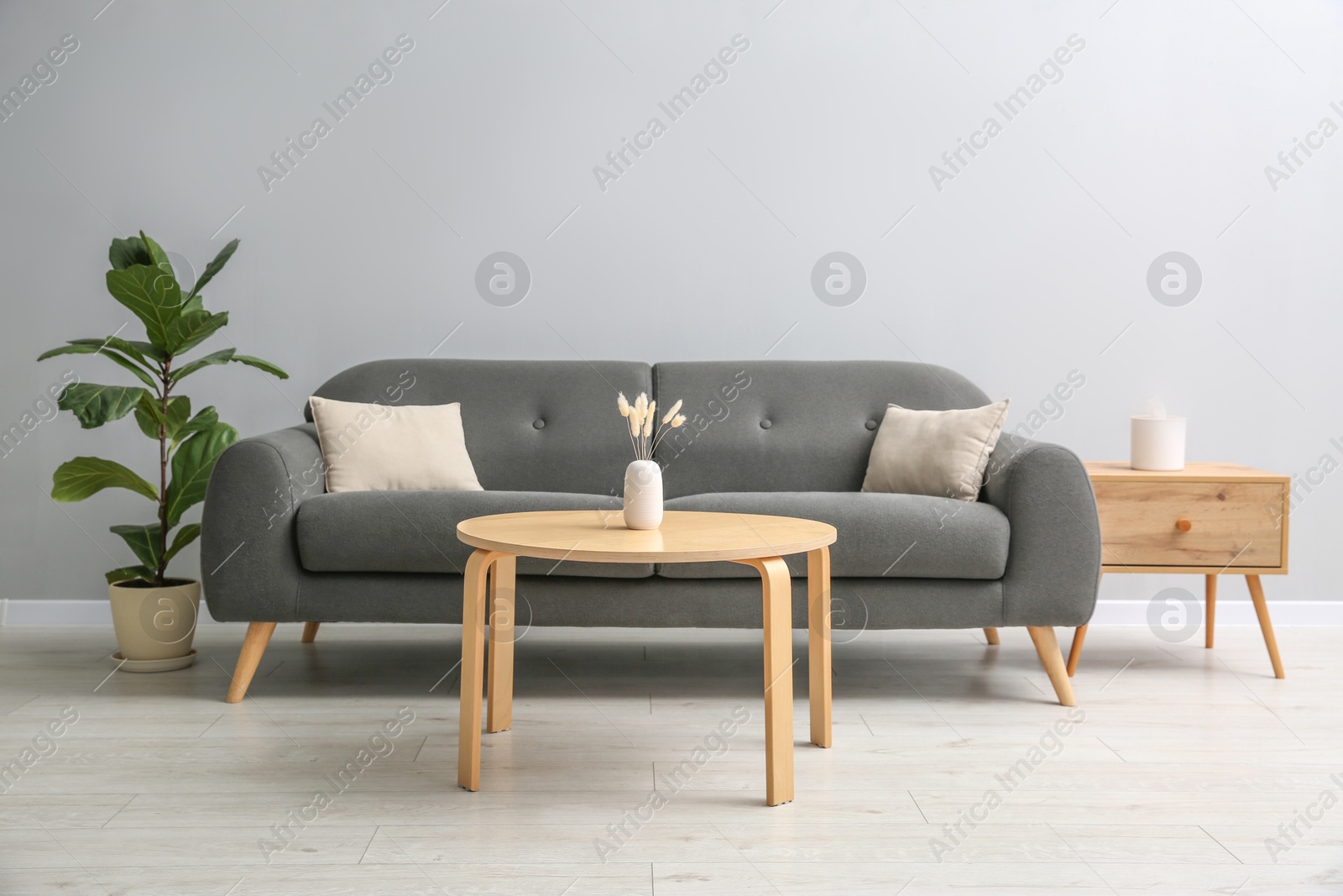 Photo of Comfortable sofa, tables and houseplant near grey wall in room