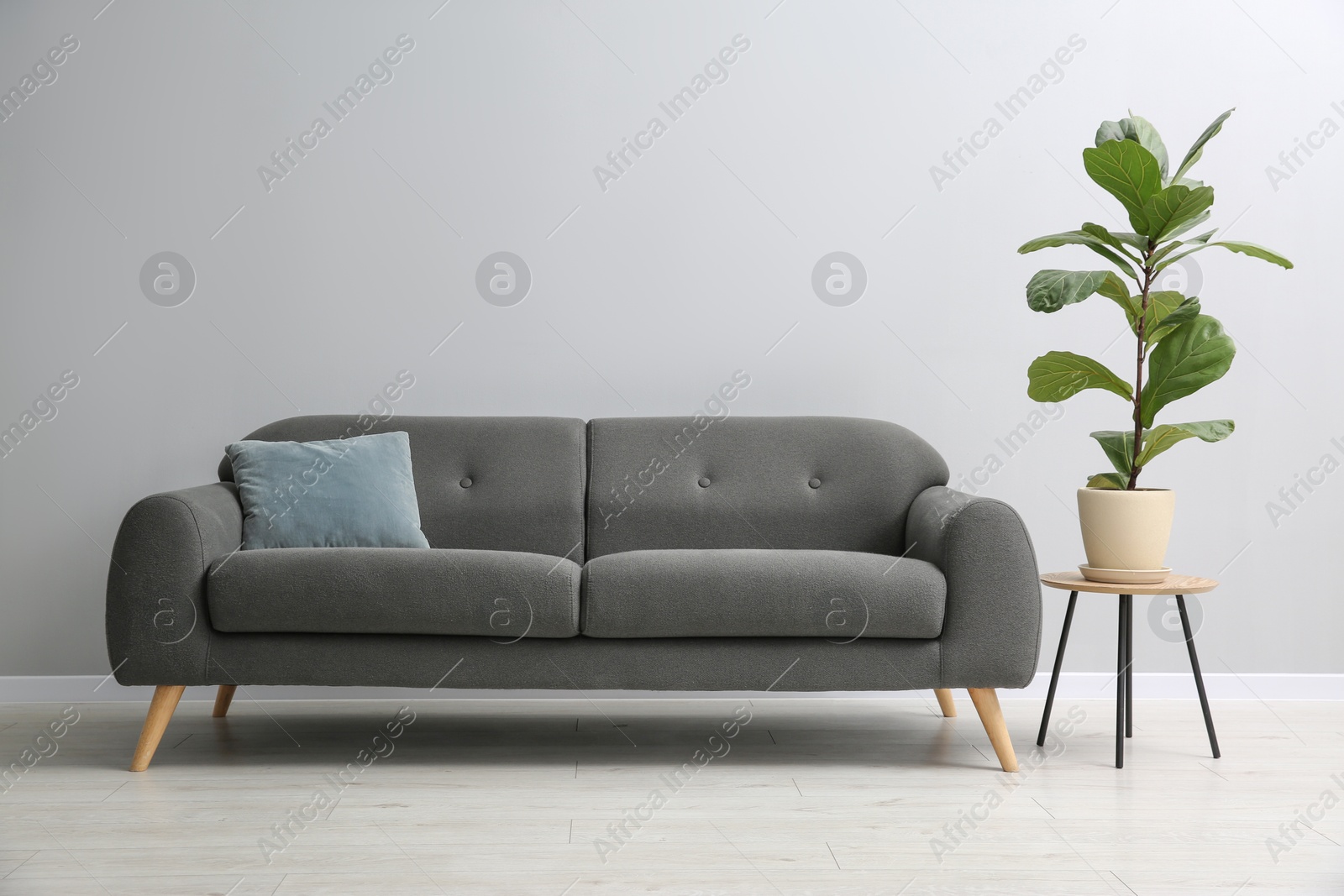 Photo of Comfortable sofa, houseplant and table near grey wall in room