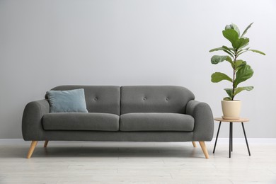 Comfortable sofa, houseplant and table near grey wall in room