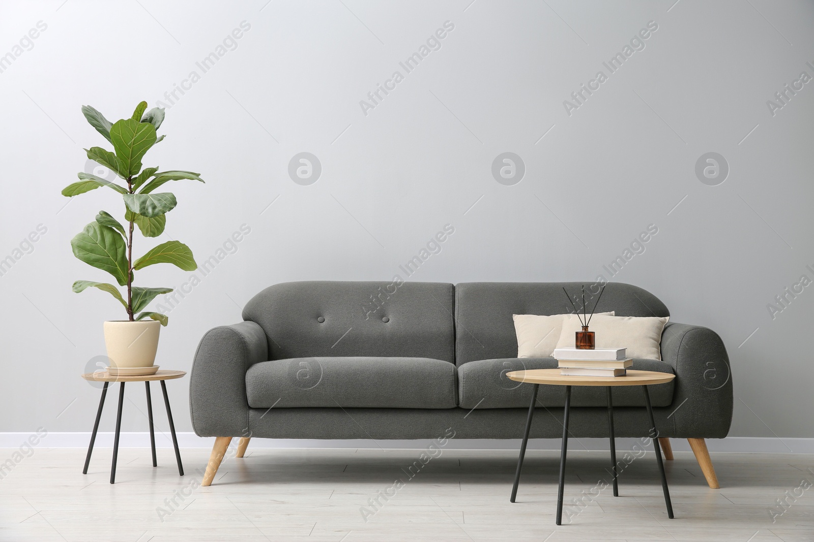 Photo of Comfortable sofa, tables and houseplant near grey wall in room