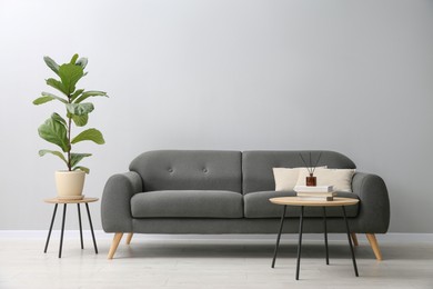 Comfortable sofa, tables and houseplant near grey wall in room