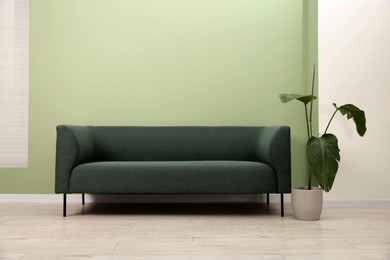 Photo of Stylish sofa and houseplant near green wall indoors