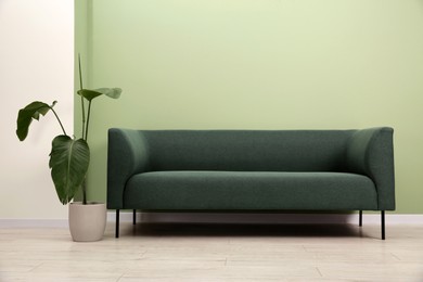 Photo of Stylish sofa and houseplant near green wall indoors