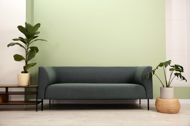 Photo of Stylish sofa and houseplants near green wall indoors