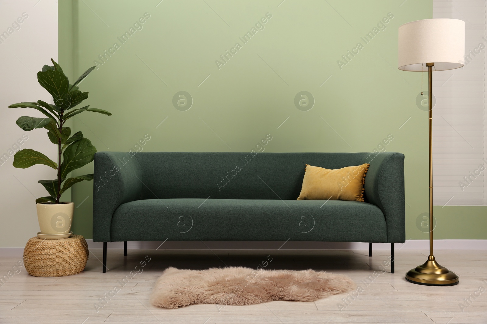 Photo of Stylish sofa with pillow, houseplant and lamp near green wall indoors