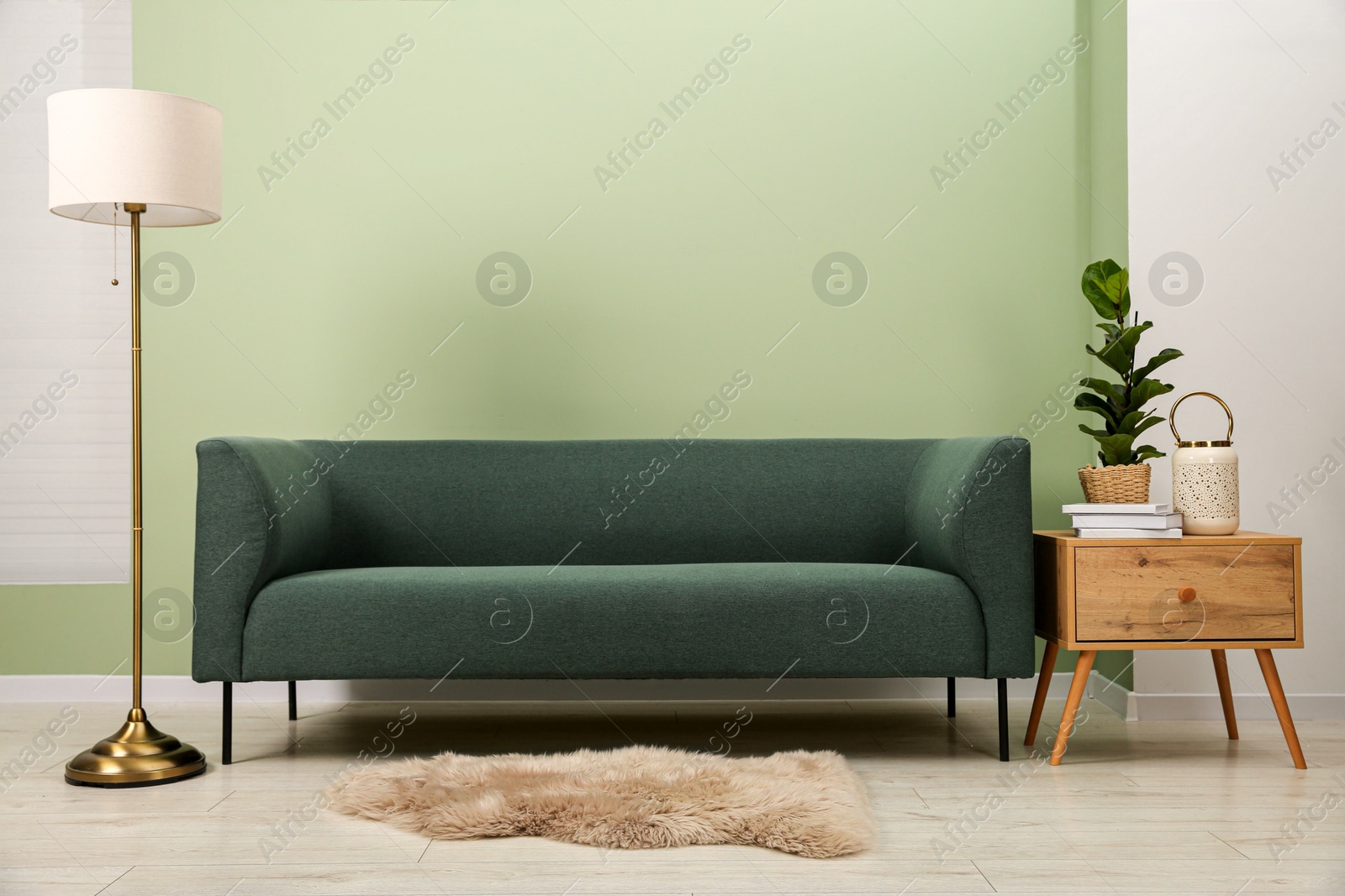 Photo of Stylish sofa, houseplant, side table and lamp near green wall indoors