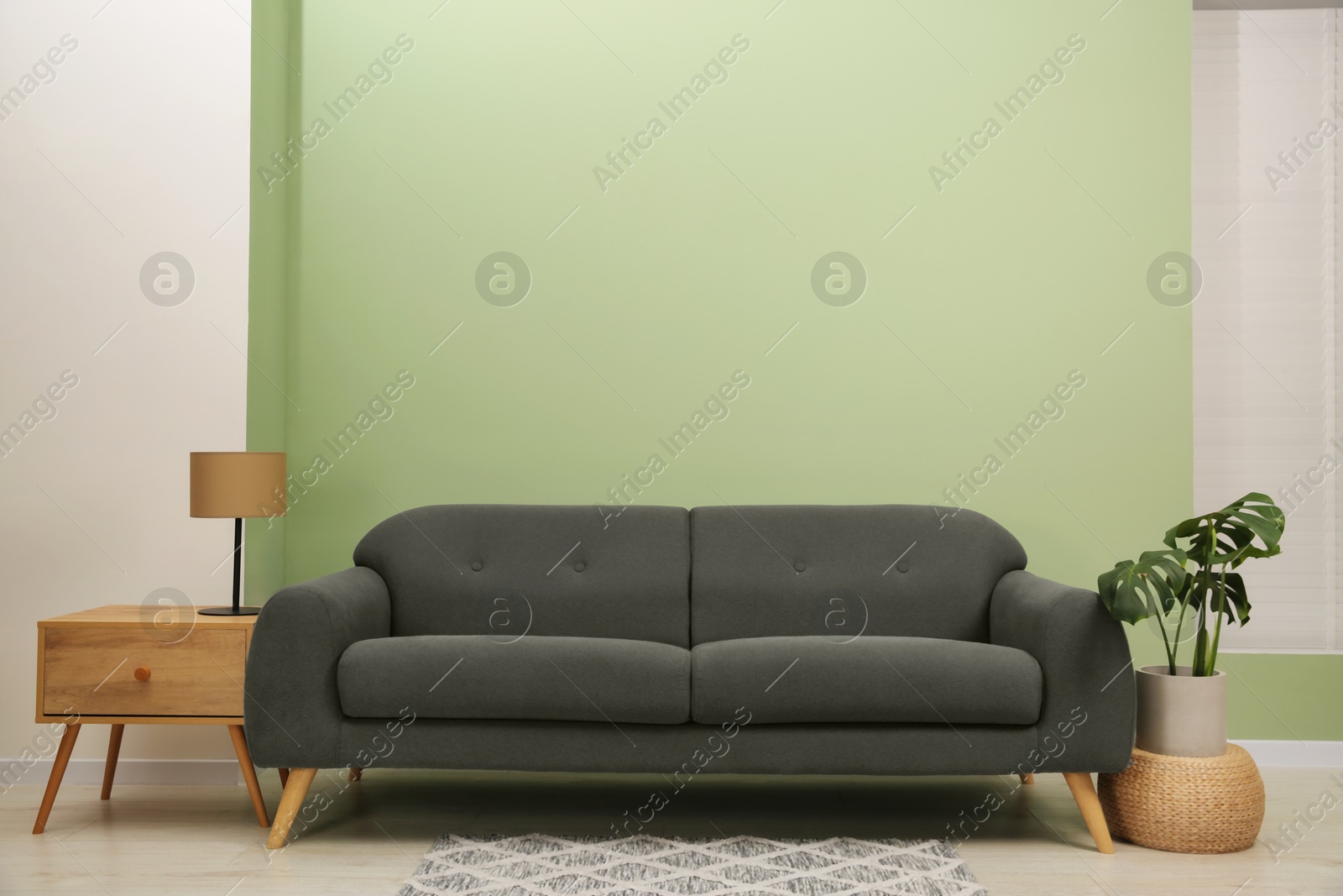 Photo of Stylish sofa, side table and houseplant near green wall indoors